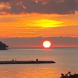 Meet your Posher, Isabel